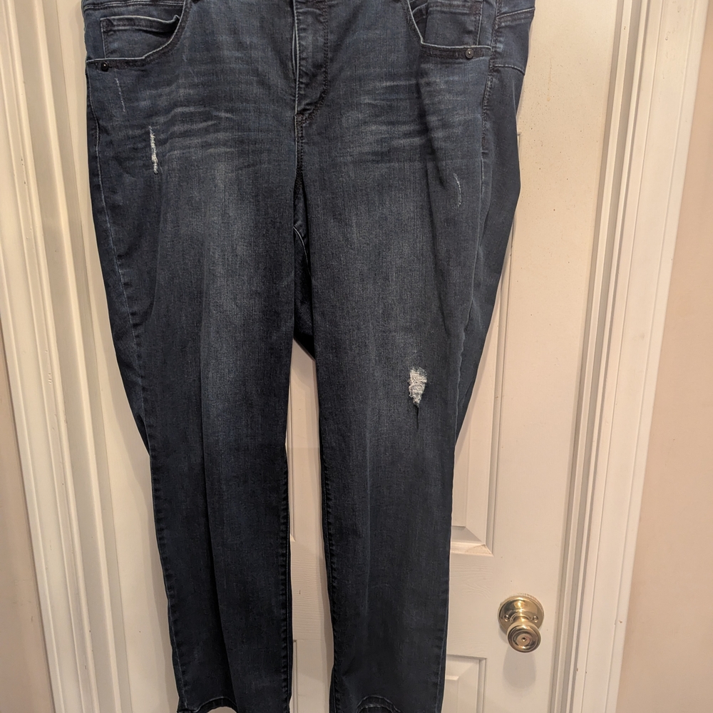 Democracy Midnight Blue Straight Leg Jeans